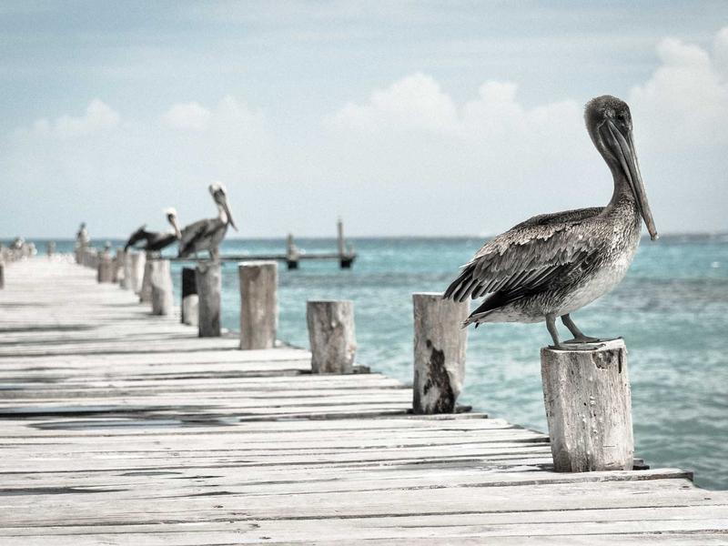 Zivral Sylvex Lumgra San Miguel de Tucumán 3